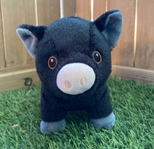 Tofu the Pig Plushie