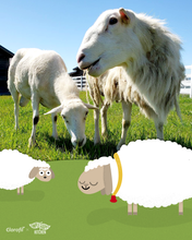 Riddle Ranch Board Game